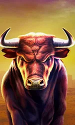 Black Bull
